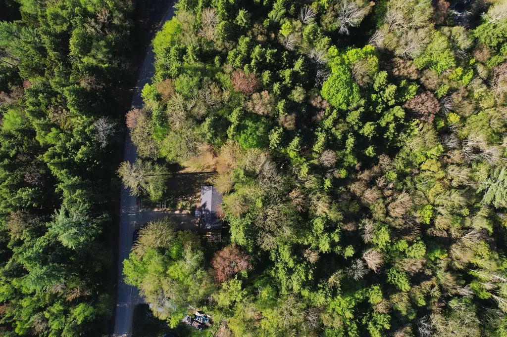 21 Hemlock Hill Road Campton NH 03223