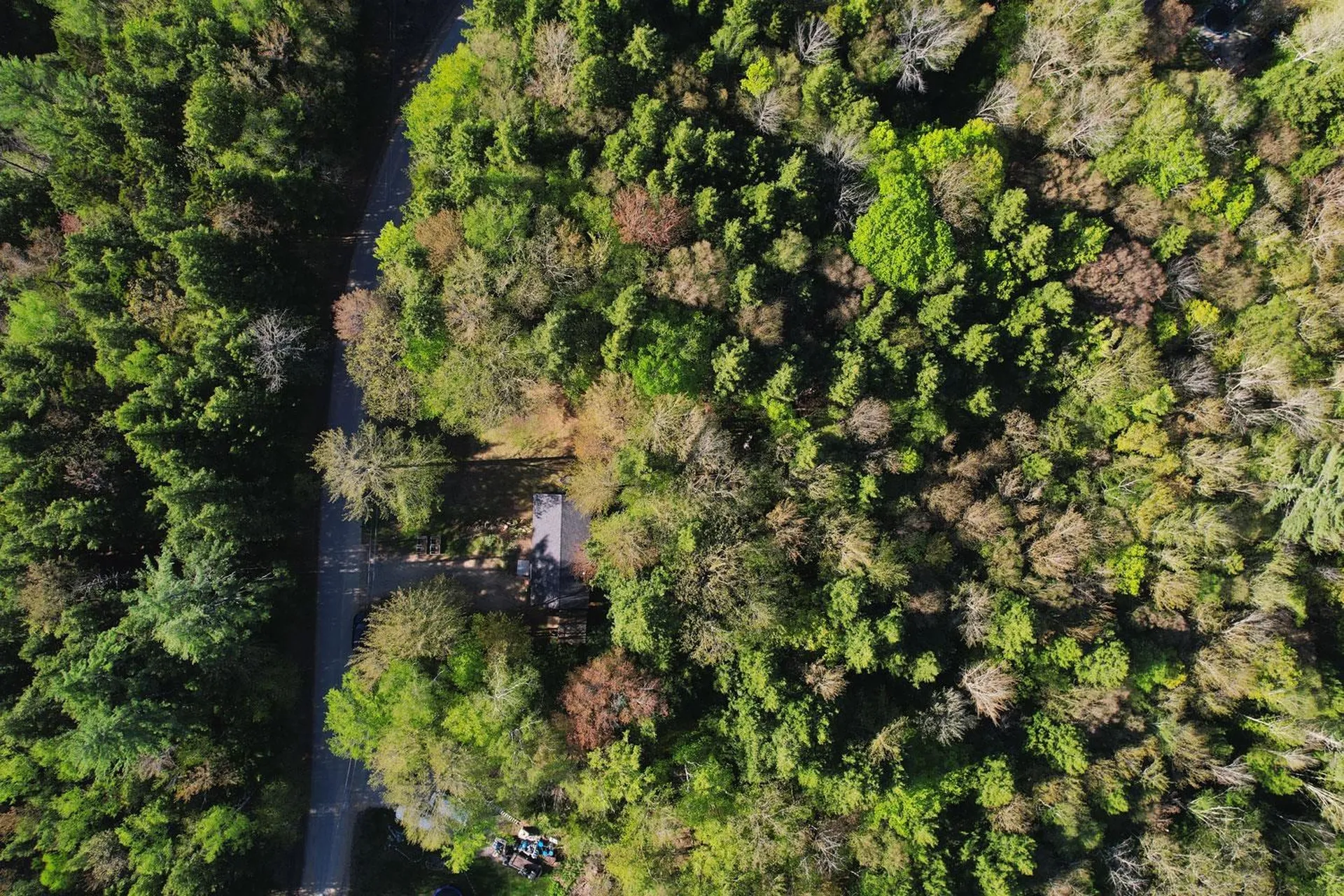 21 Hemlock Hill Road Campton NH 03223