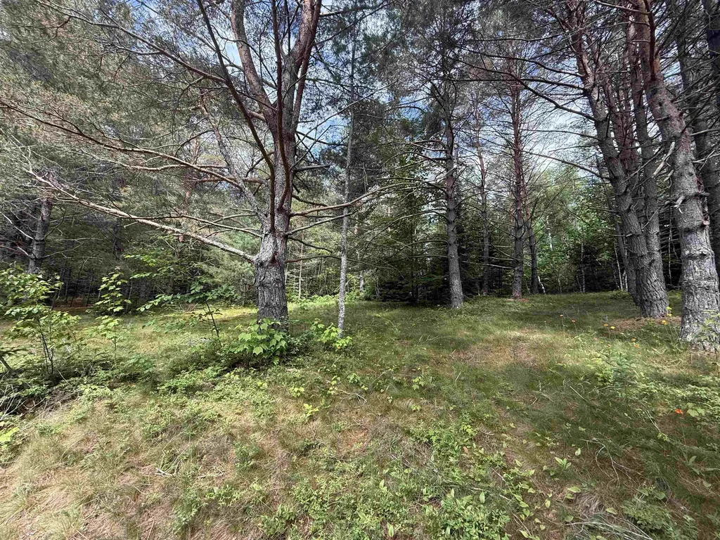 0 Twin View Drive Carroll NH 03595