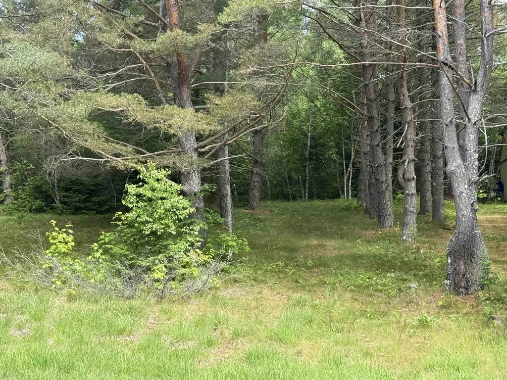 0 Twin View Drive Carroll NH 03595