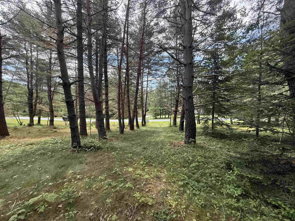 0 Twin View Drive Carroll NH 03595