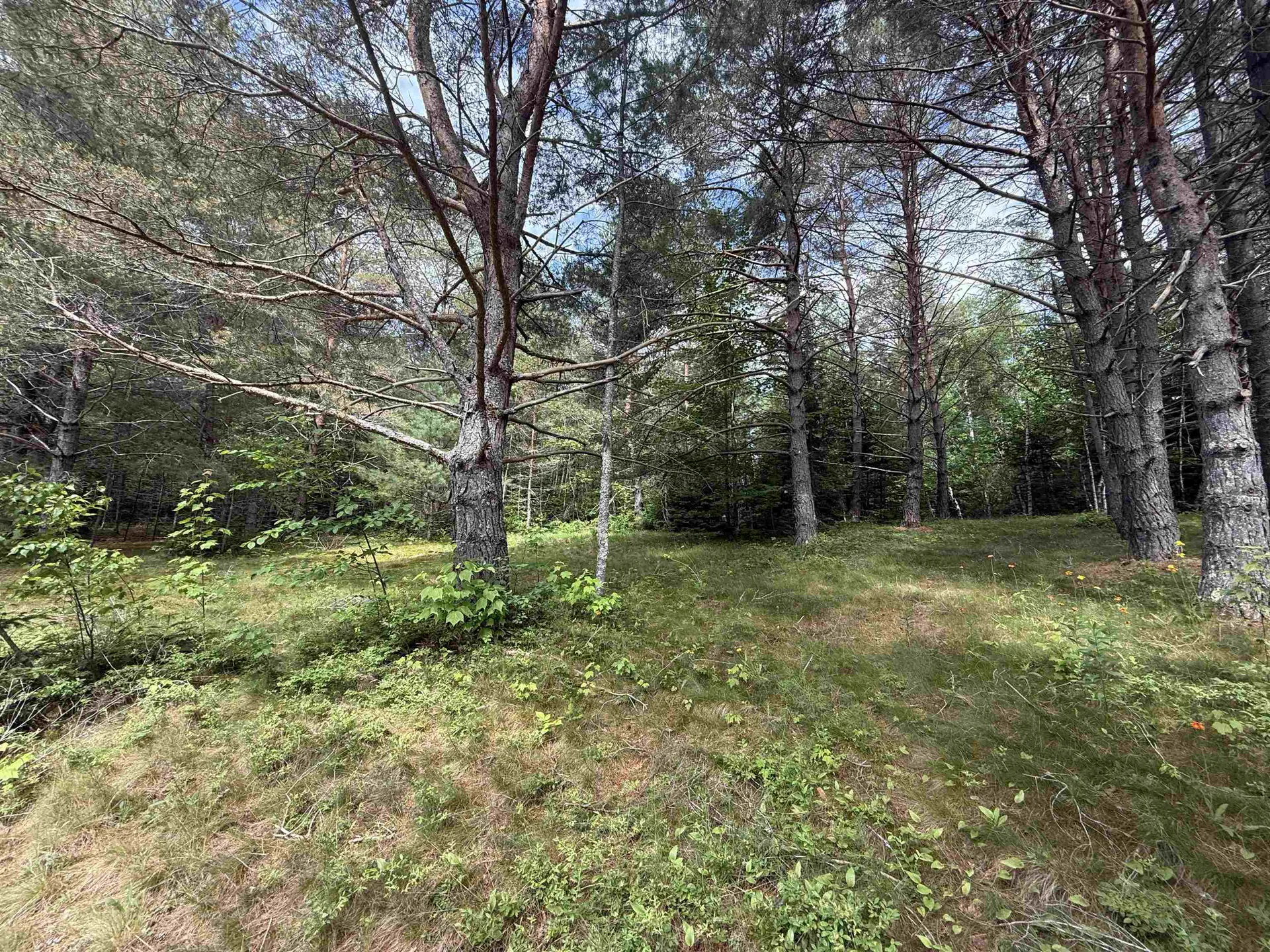 0 Twin View Drive Carroll NH 03595