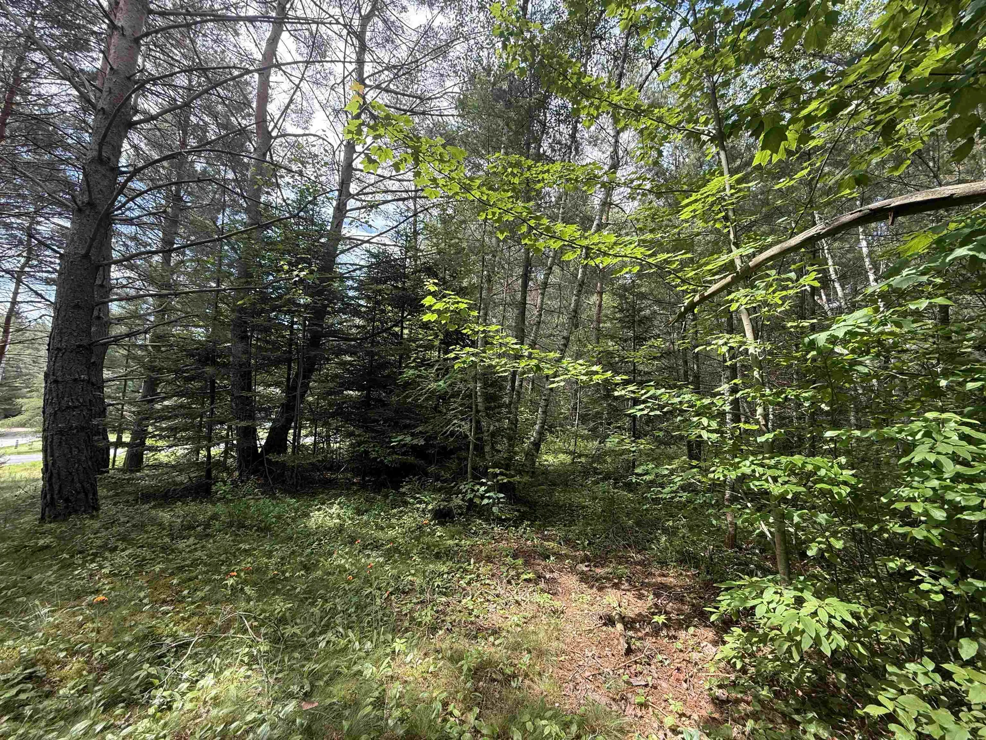 0 Twin View Drive Carroll NH 03595