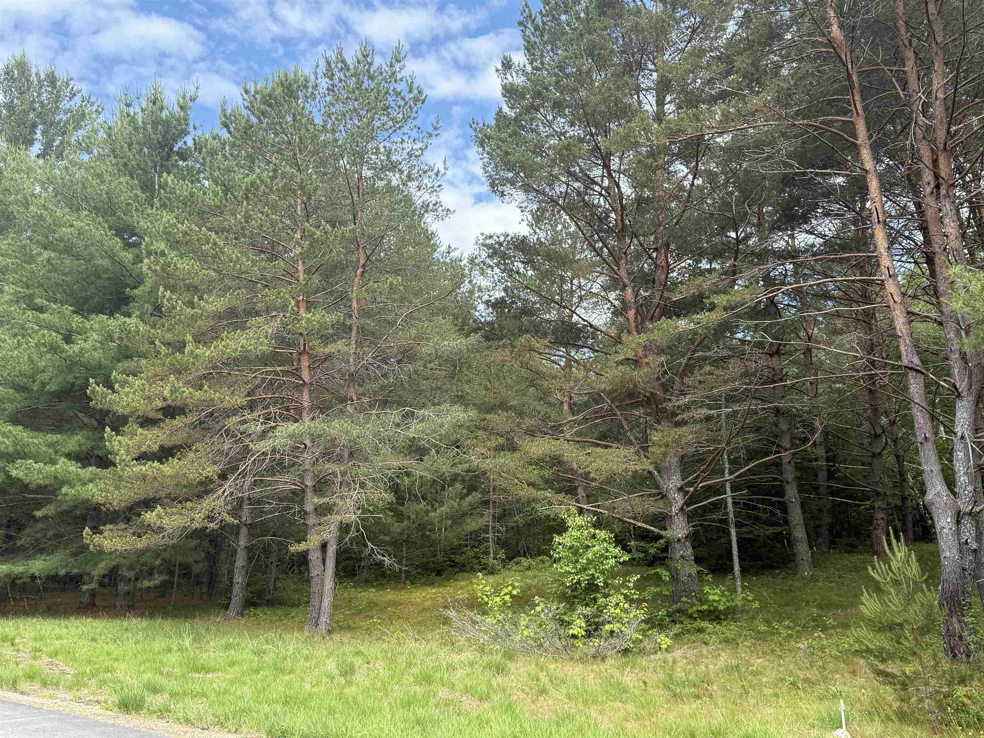 0 Twin View Drive Carroll NH 03595