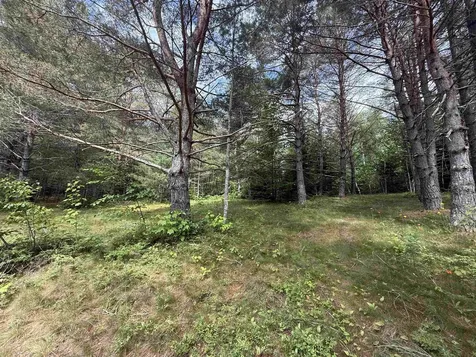 0 Twin View Drive Carroll NH 03595