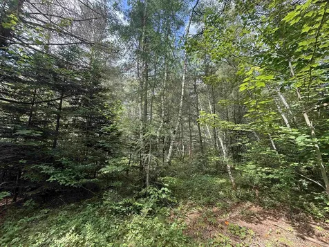 0 Twin View Drive Carroll NH 03595