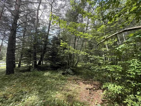 0 Twin View Drive Carroll NH 03595