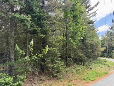 0 Twin View Drive Carroll NH 03595