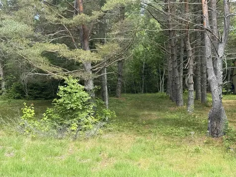 0 Twin View Drive Carroll NH 03595