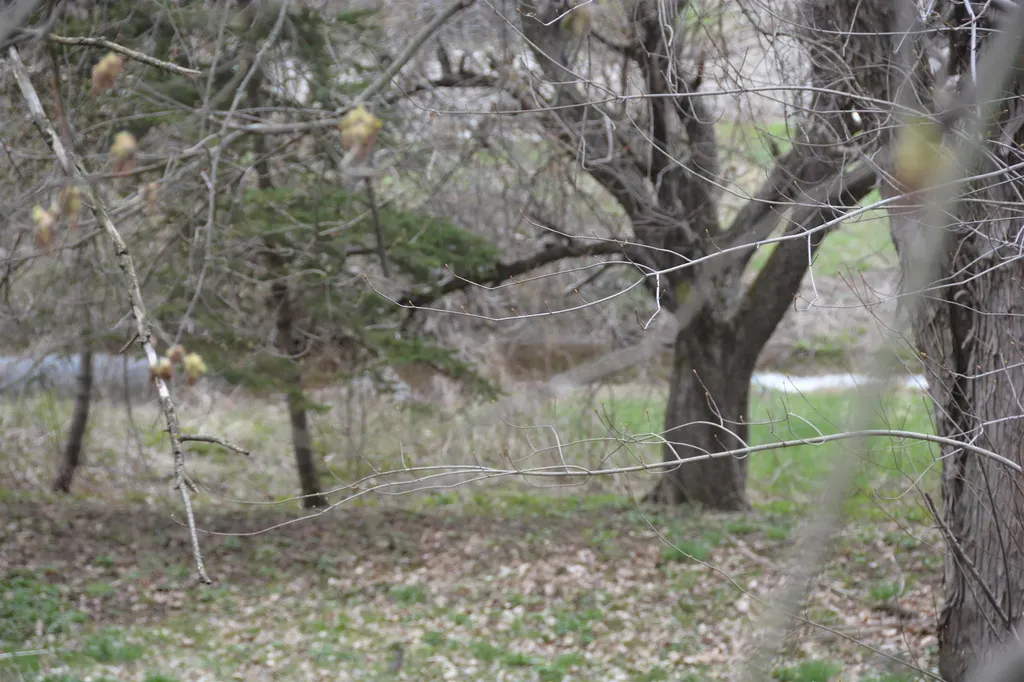 6610 Berkshire Center Road Berkshire VT 05450