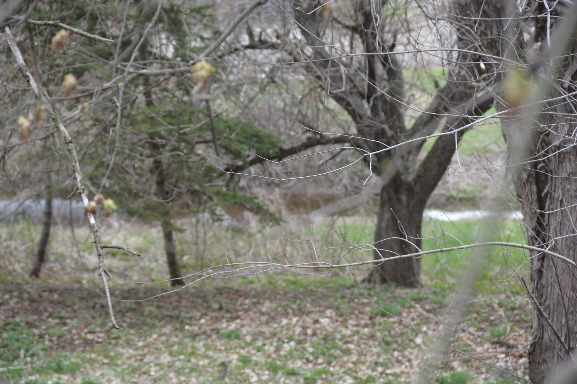 6610 Berkshire Center Road Berkshire VT 05450