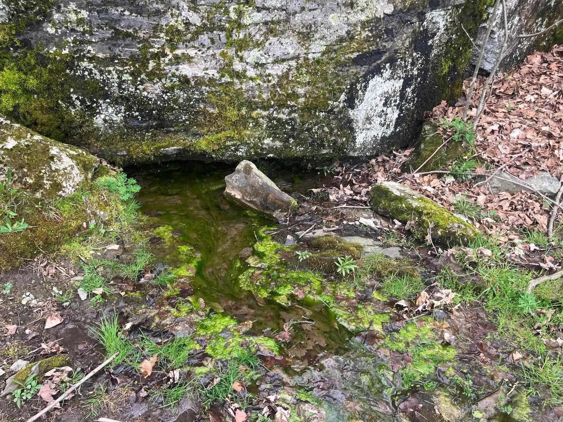 305 Richard Road Franklin VT 05457