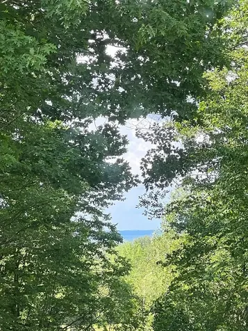 1295 Lime Kiln Road Charlotte VT 05445