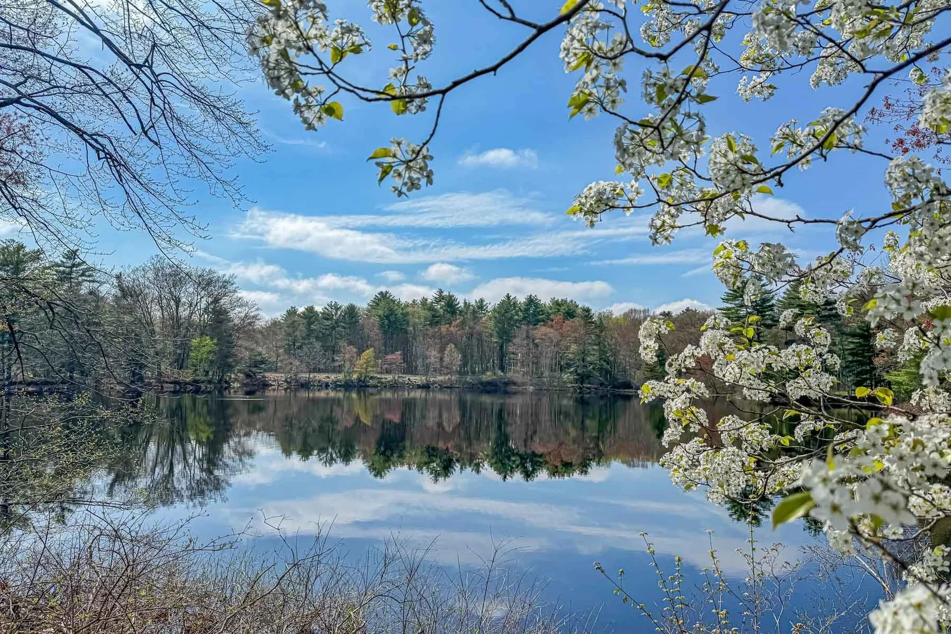 1311 Piscassic Street Newmarket NH 03857