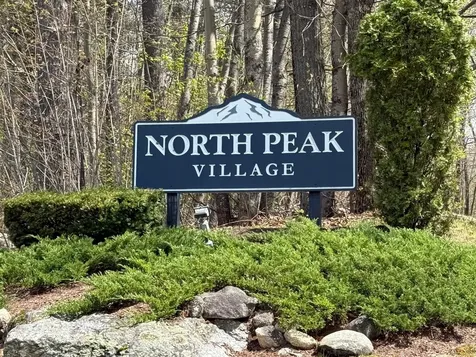 8 North Peak Village Newbury NH 03255-5410