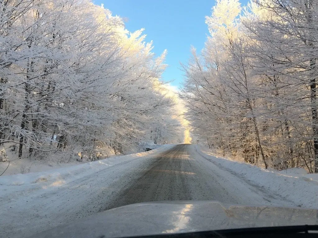 779 Smugglers View Road Cambridge VT 05464