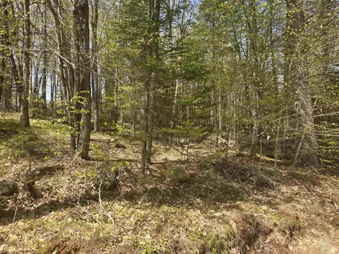 Tbd Cleveland Circle Washington NH 03280