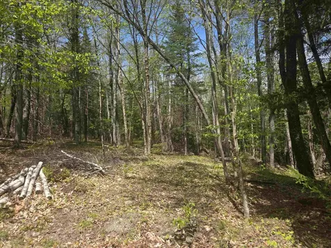 Tbd Cleveland Circle Washington NH 03280