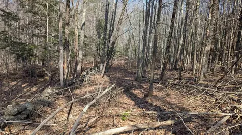 M 3 - L 15-1&2 Prospect Mountain Road Alton NH 03809