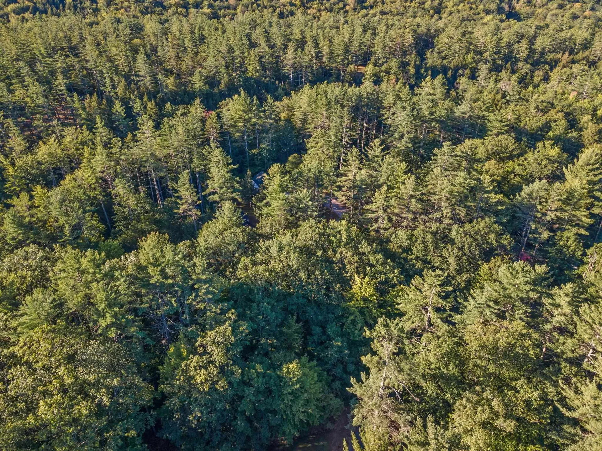 000 Gilford Avenue Rumney NH 03266