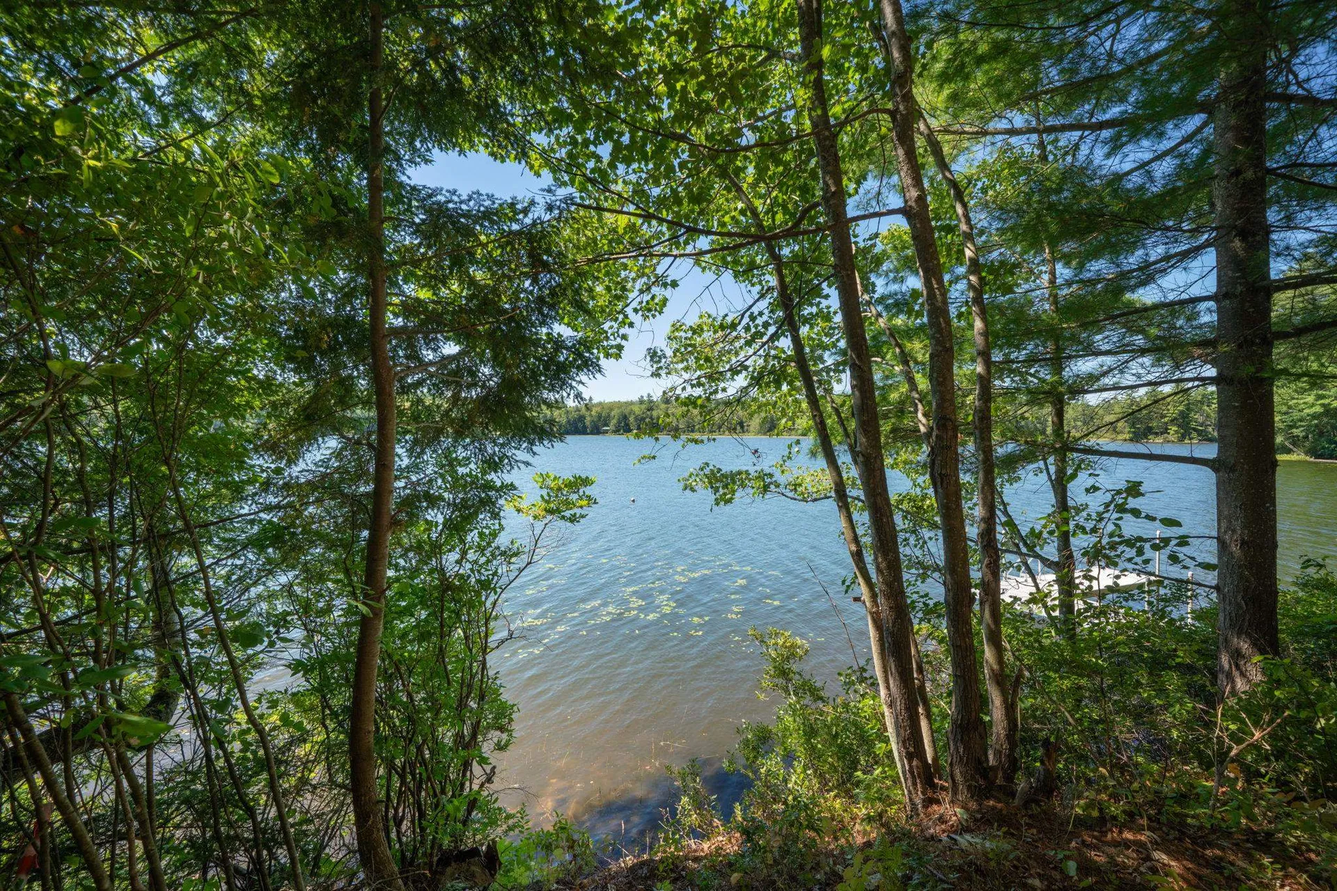 28 North Shore Road Sunapee NH 03782