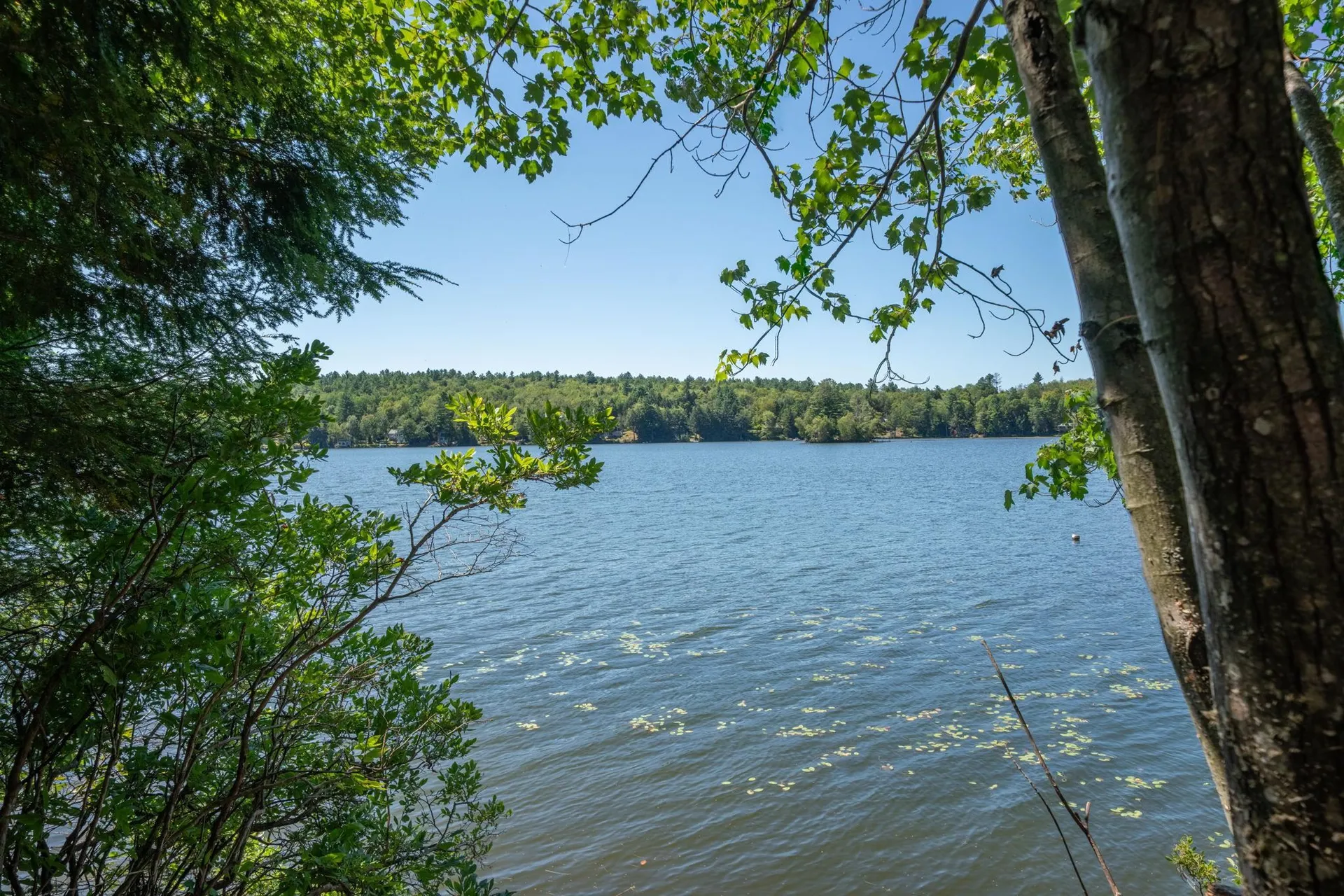 28 North Shore Road Sunapee NH 03782