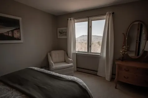 197 Monadnock View Lane Jamaica VT 05343