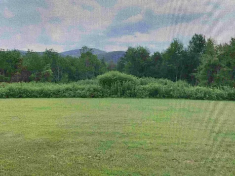 708 Butternut Hill Road Wells VT 05774