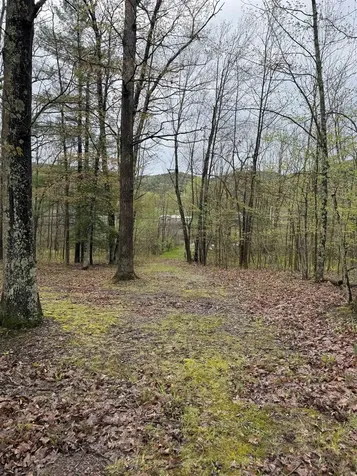 708 Butternut Hill Road Wells VT 05774