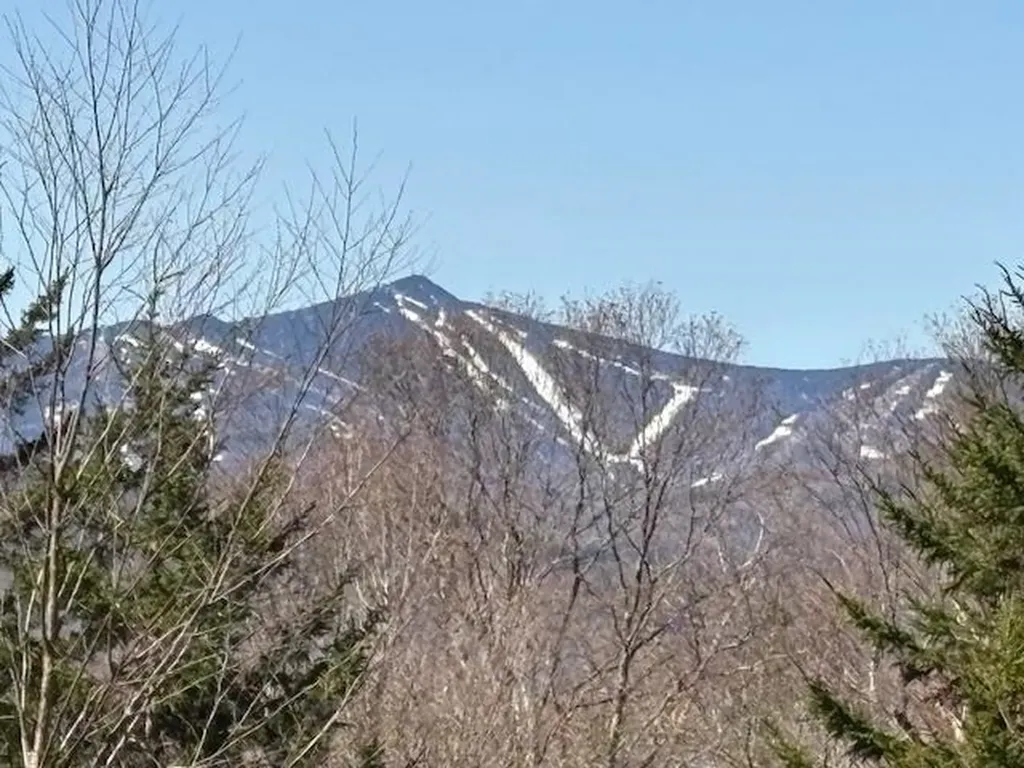 0 Walker Hill Road Bridgewater VT 05034