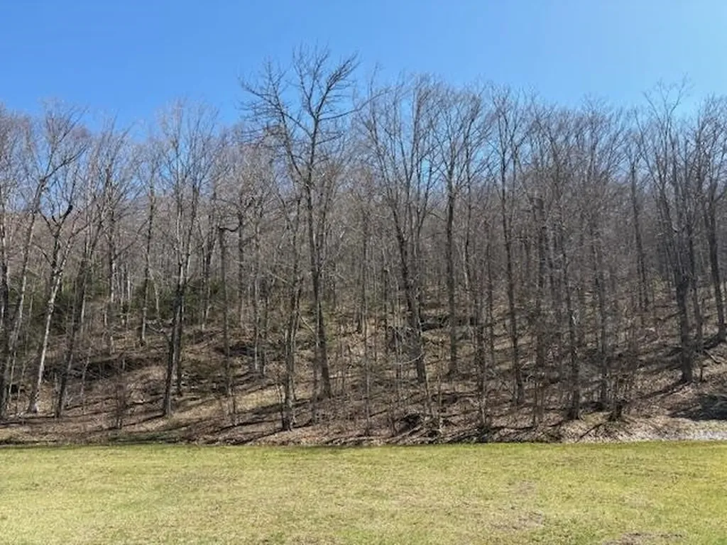 0 Walker Hill Road Bridgewater VT 05034