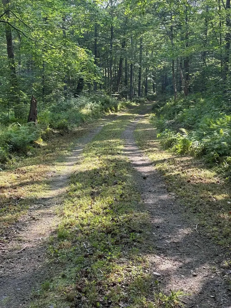 0 Walker Hill Road Bridgewater VT 05034