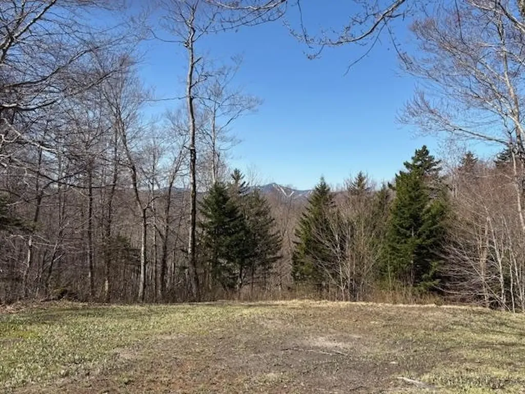 0 Walker Hill Road Bridgewater VT 05034