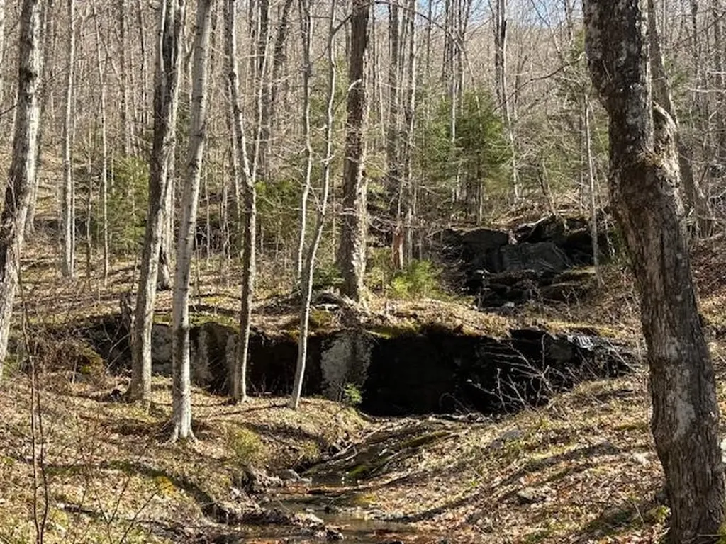 0 Walker Hill Road Bridgewater VT 05034