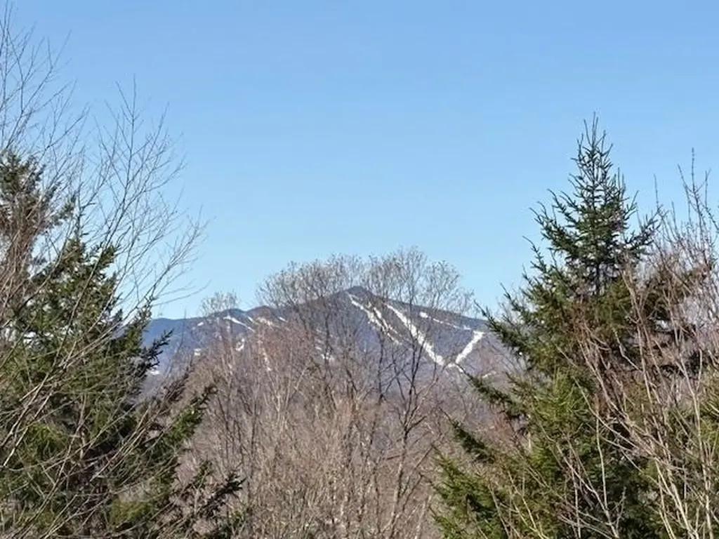 0 Walker Hill Road Bridgewater VT 05034