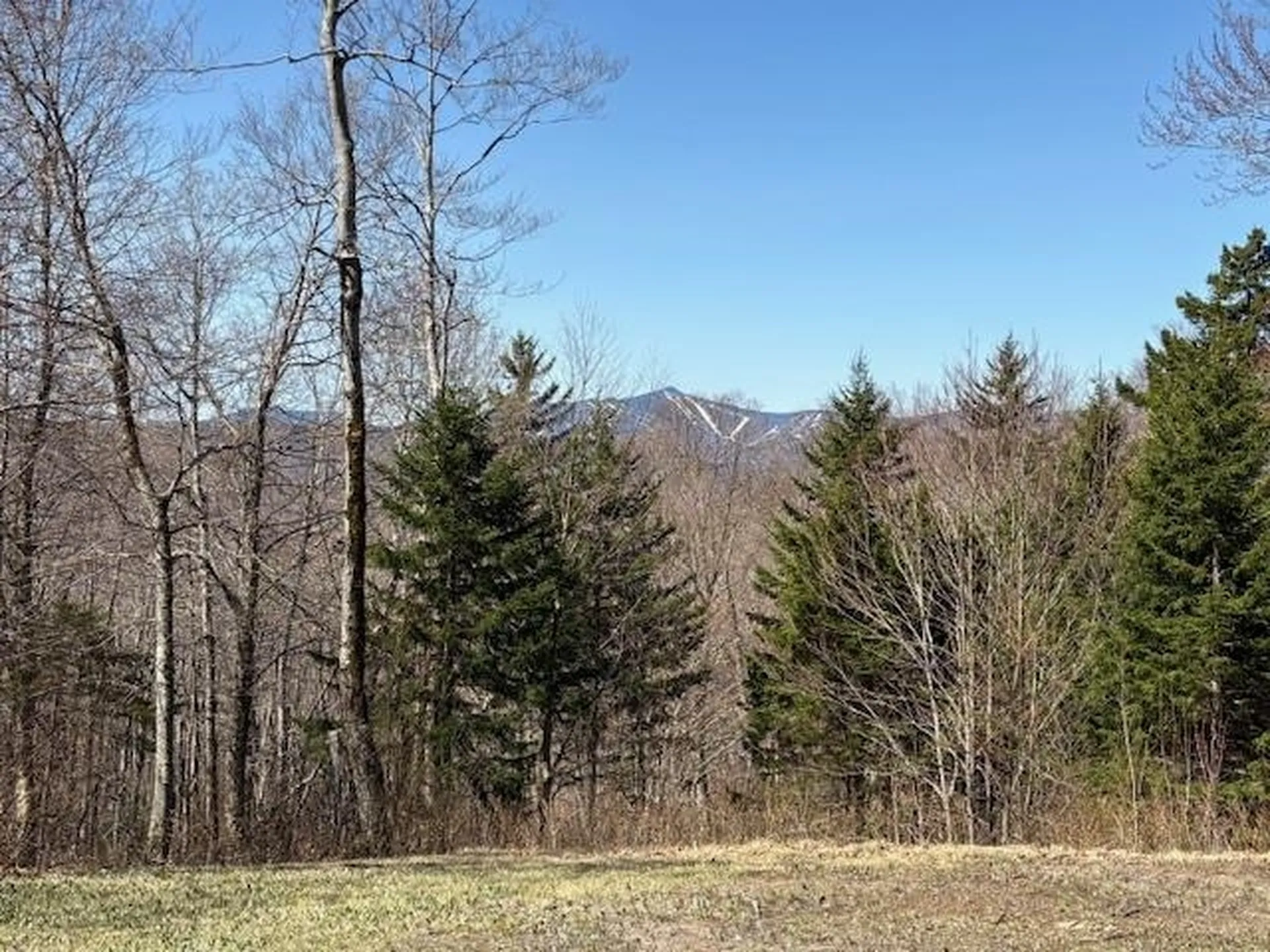0 Walker Hill Road Bridgewater VT 05034