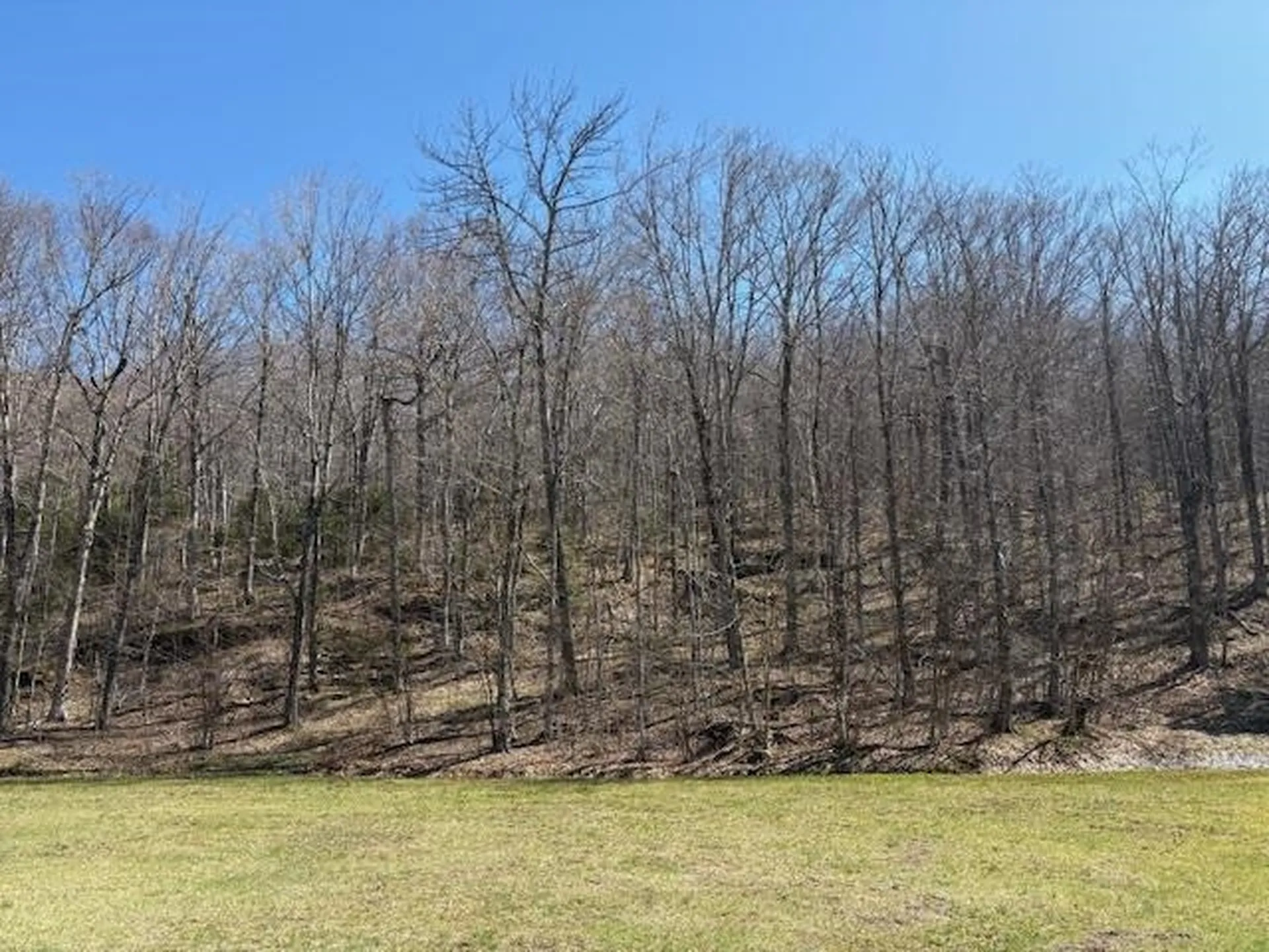 0 Walker Hill Road Bridgewater VT 05034