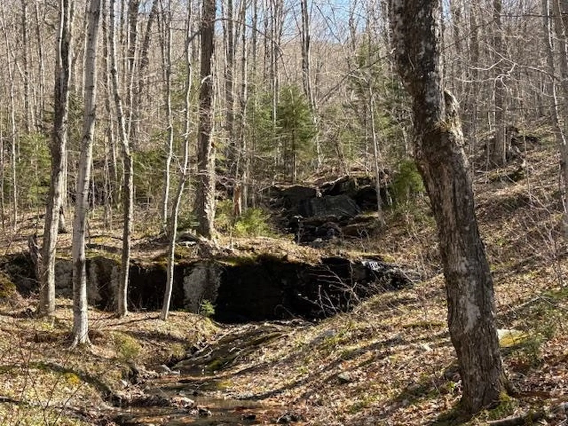 0 Walker Hill Road Bridgewater VT 05034