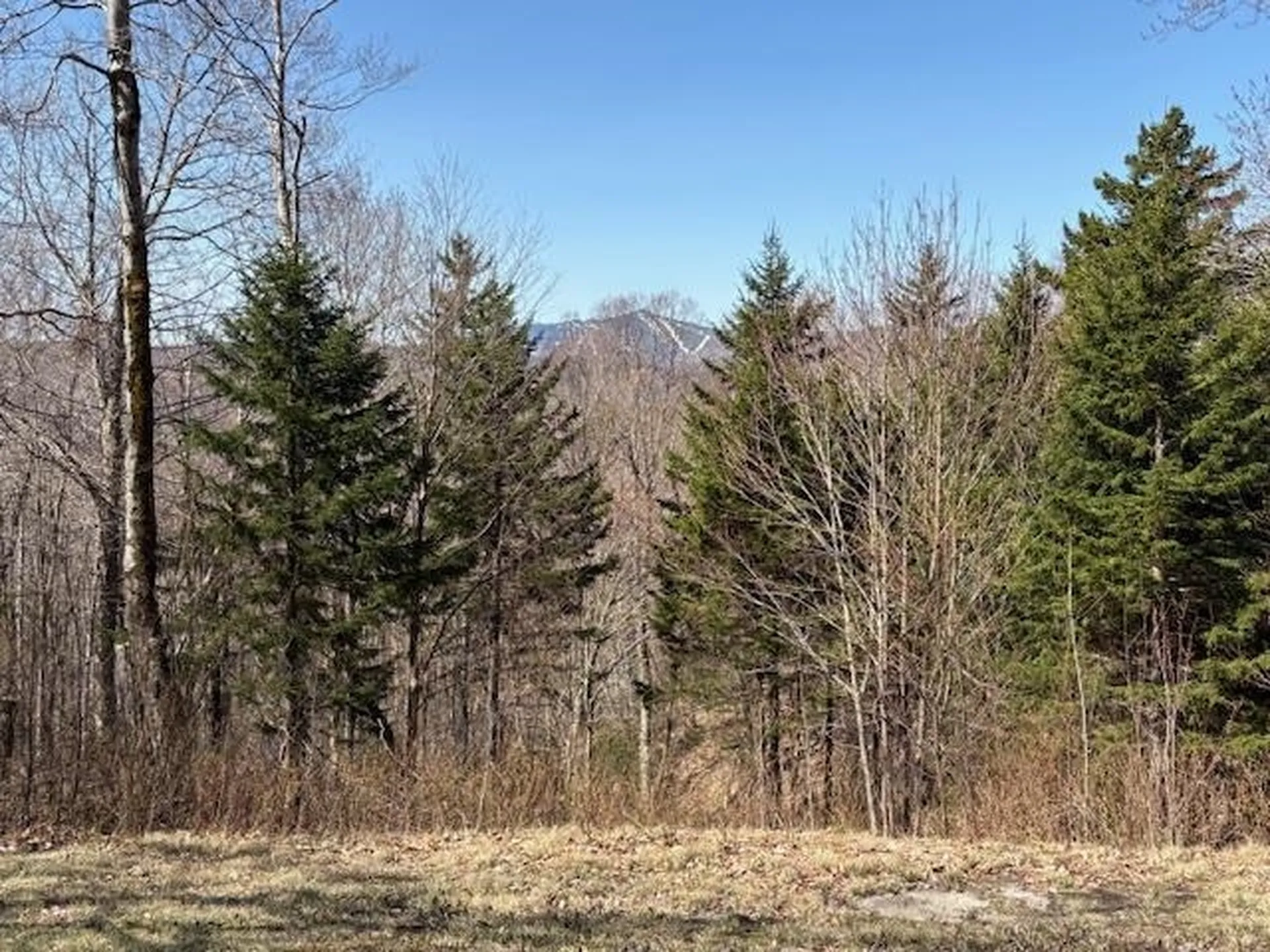 0 Walker Hill Road Bridgewater VT 05034