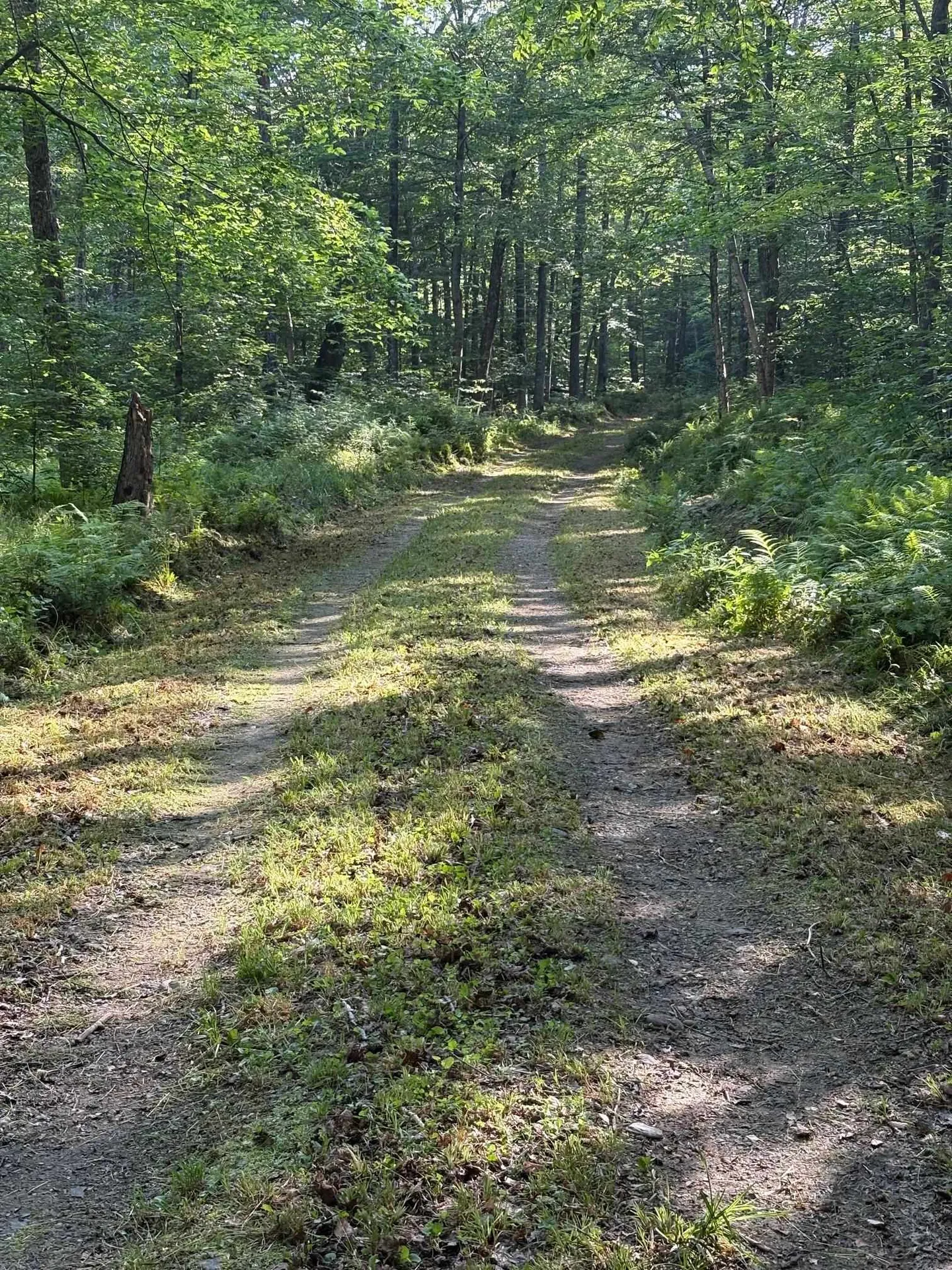 0 Walker Hill Road Bridgewater VT 05034