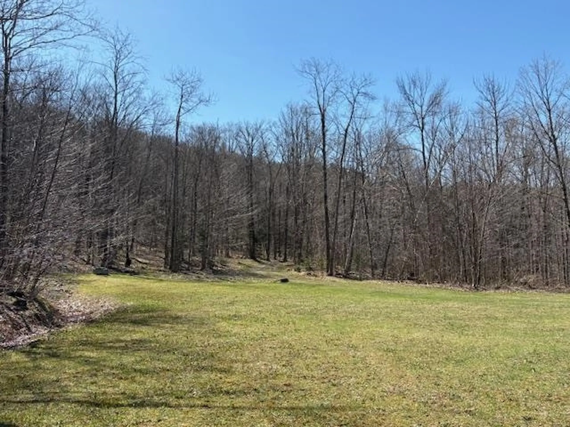 0 Walker Hill Road Bridgewater VT 05034