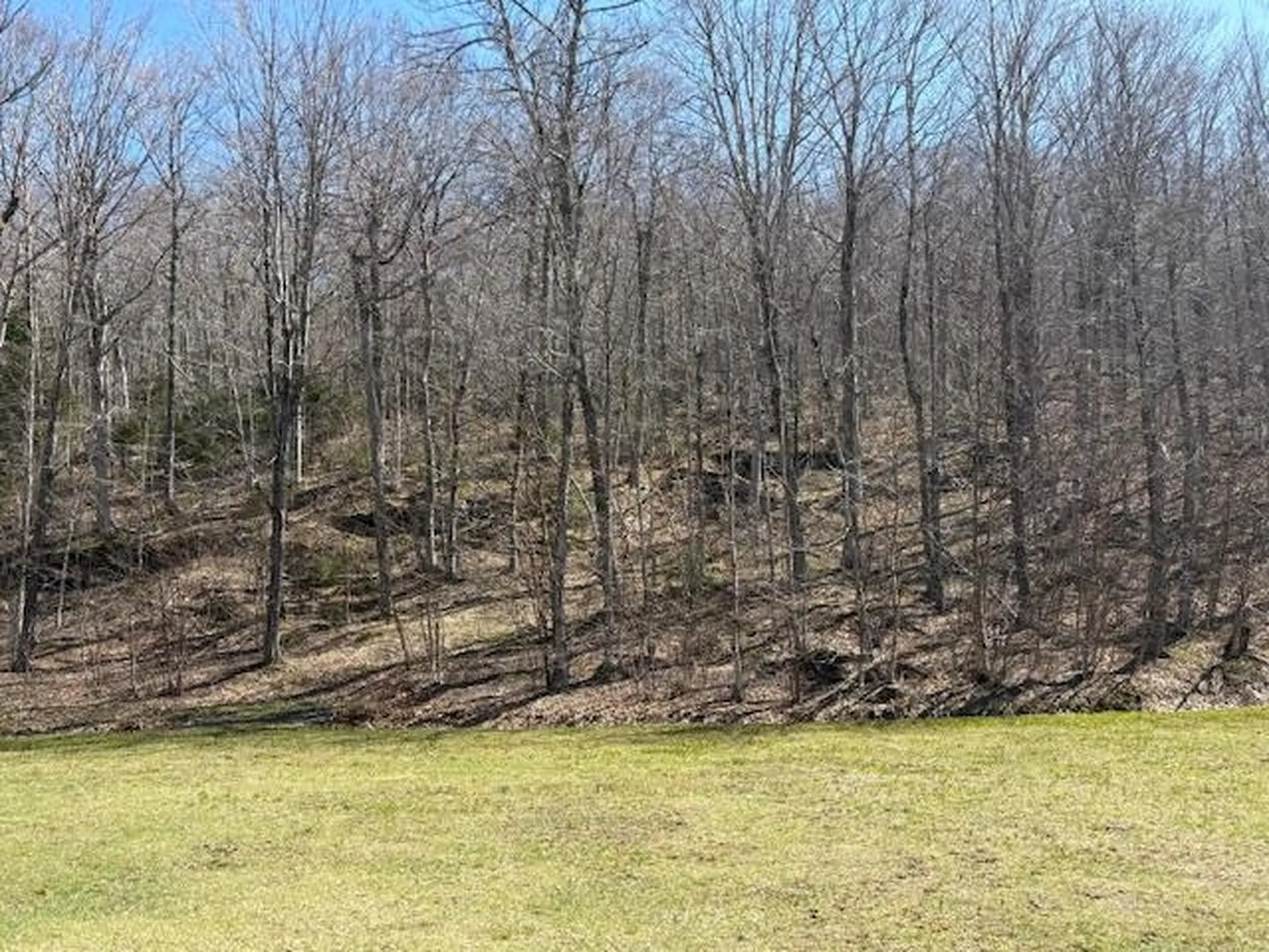 0 Walker Hill Road Bridgewater VT 05034