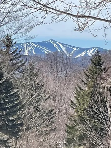 0 Walker Hill Road Bridgewater VT 05034