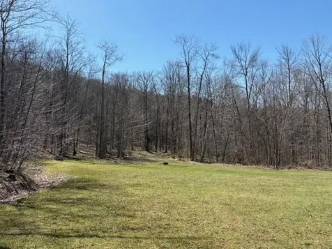 0 Walker Hill Road Bridgewater VT 05034