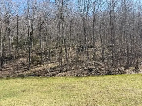 0 Walker Hill Road Bridgewater VT 05034