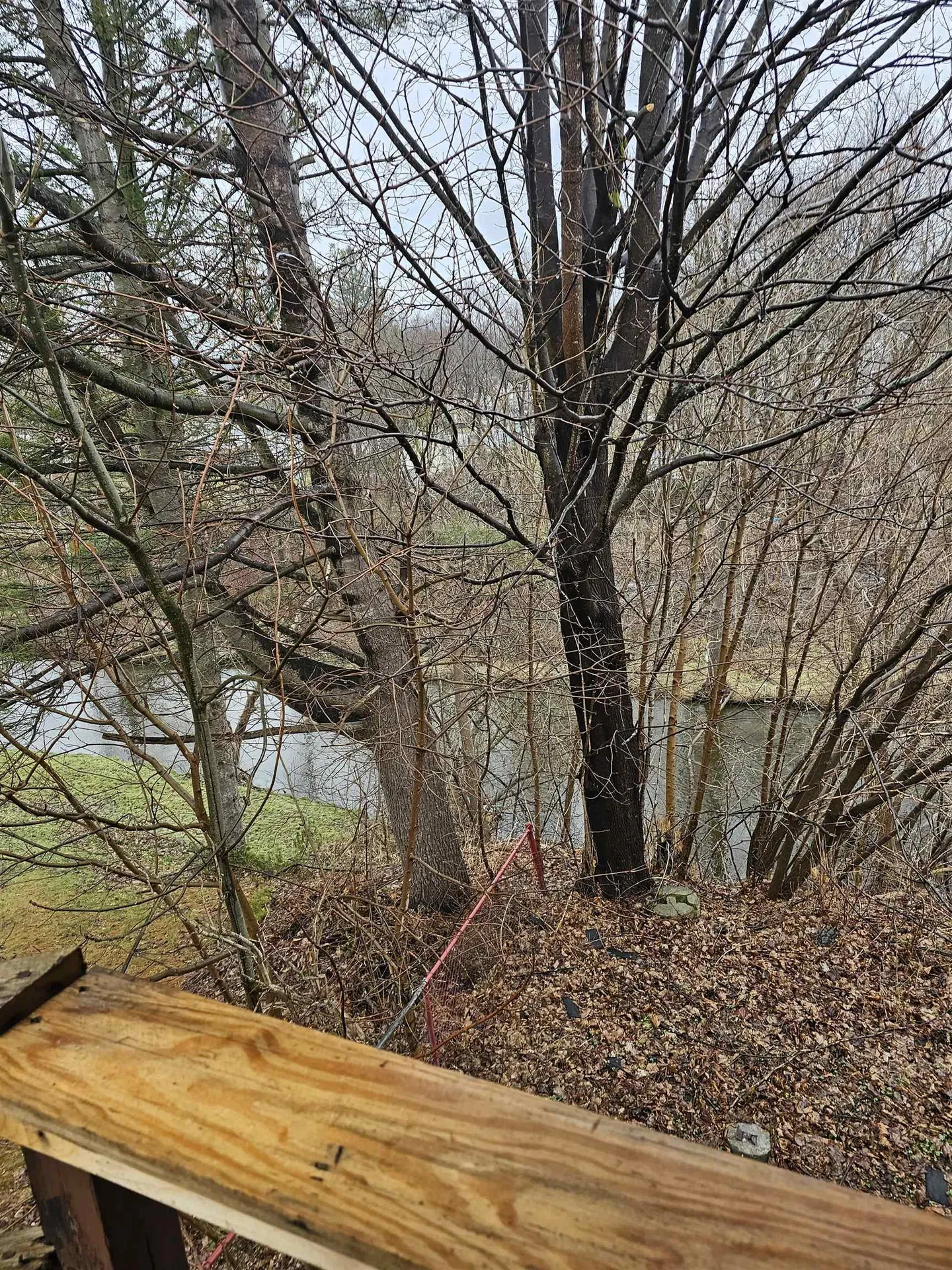 130 Morgan Street Bennington VT 05201