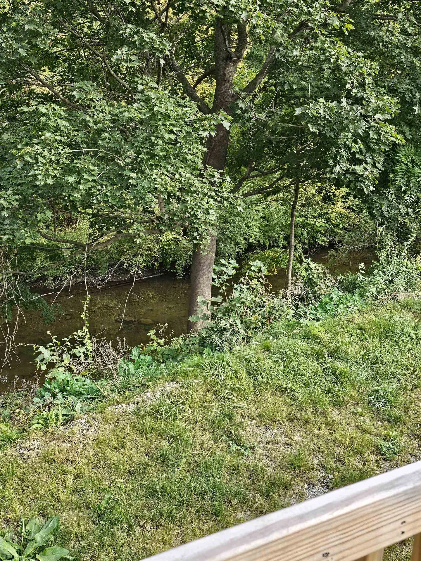 130 Morgan Street Bennington VT 05201