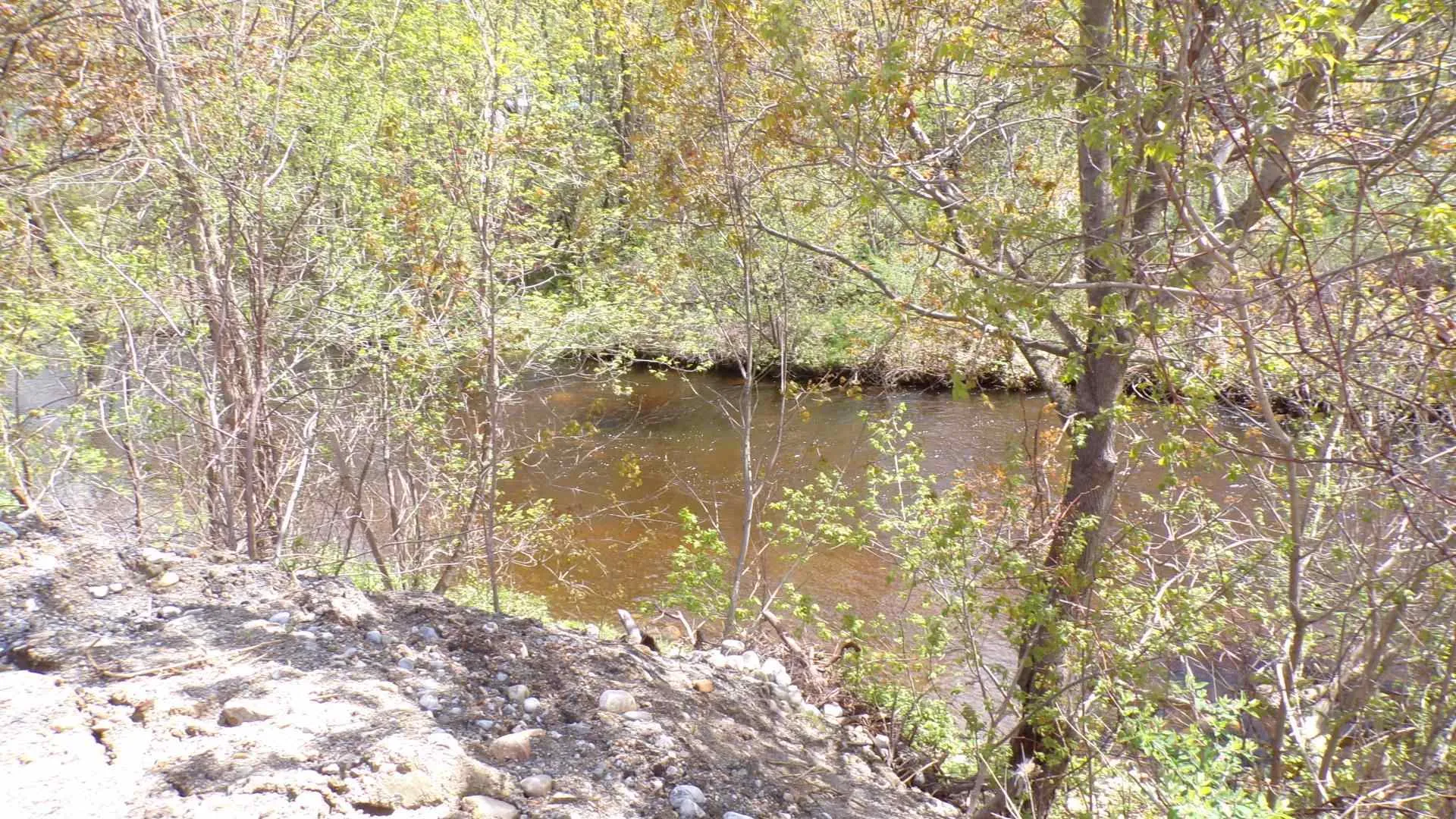 130 Morgan Street Bennington VT 05201