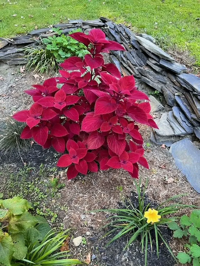 108 Chestnut Street Brattleboro VT 05301