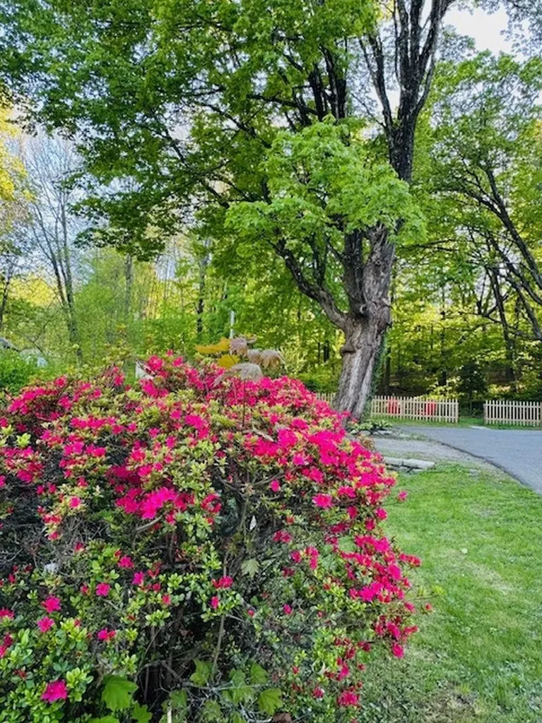 108 Chestnut Street Brattleboro VT 05301